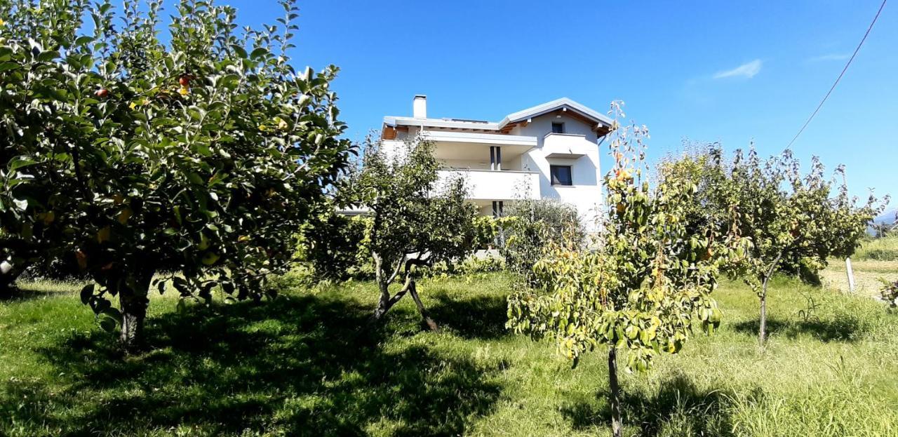 Al Settimo Miglio, Alloggio Agrituristico Villa Treppo Grande Bagian luar foto