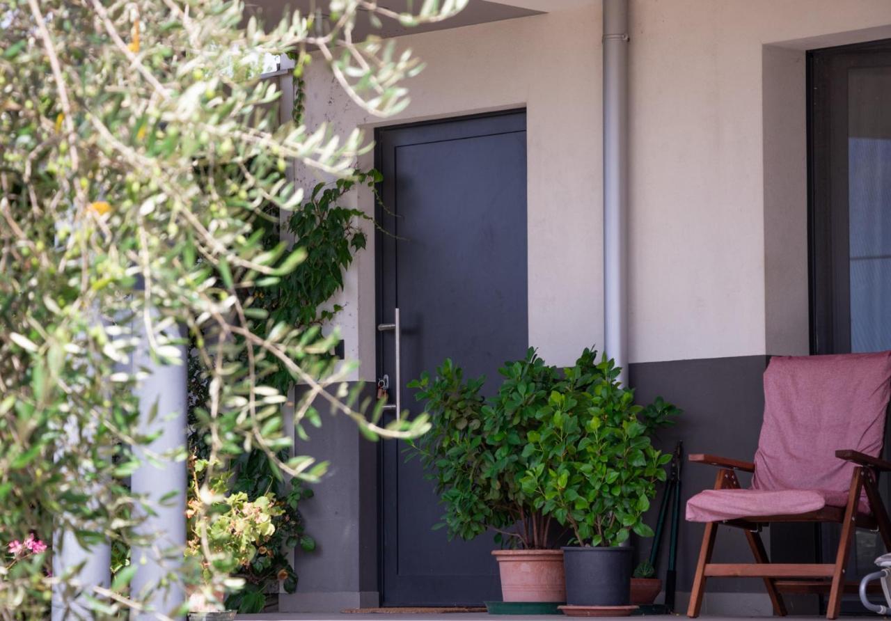 Al Settimo Miglio, Alloggio Agrituristico Villa Treppo Grande Bagian luar foto