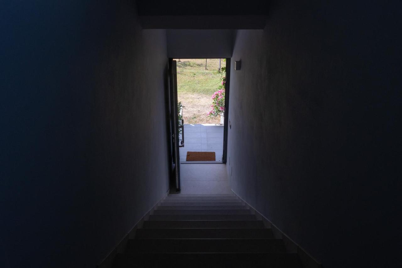 Al Settimo Miglio, Alloggio Agrituristico Villa Treppo Grande Bagian luar foto